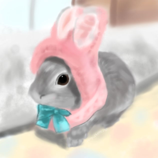 うさぎ🐇☁️