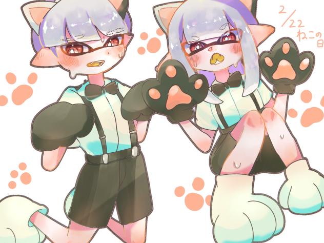 ネコの日𓃠