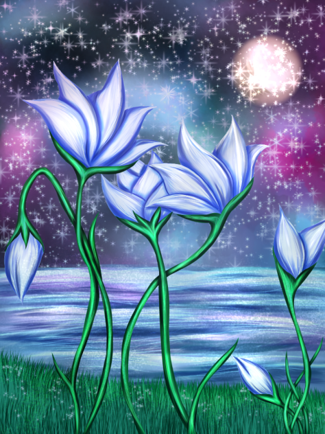 Wild Tulips at Twilight