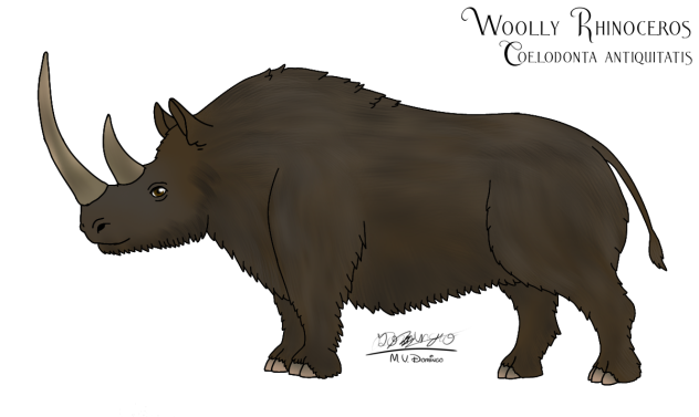 Woolly Rhinoceros