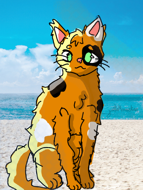 kitty ✨🐈