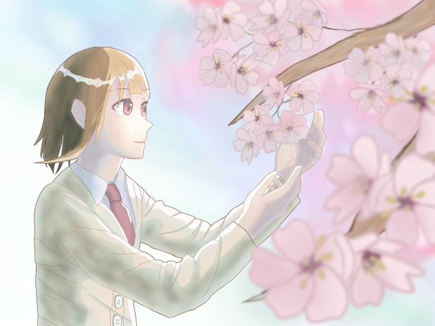 桜を想う