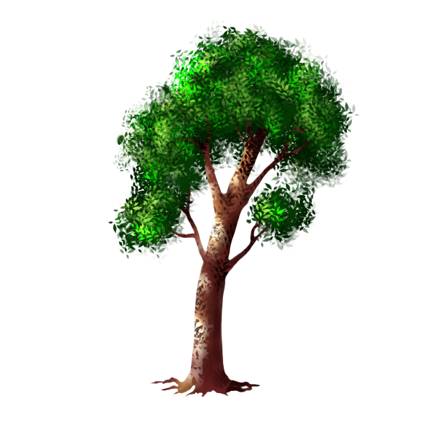 Tree 02
