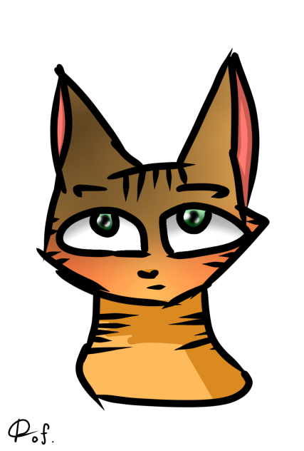 ✎꧁Just a cat...꧂