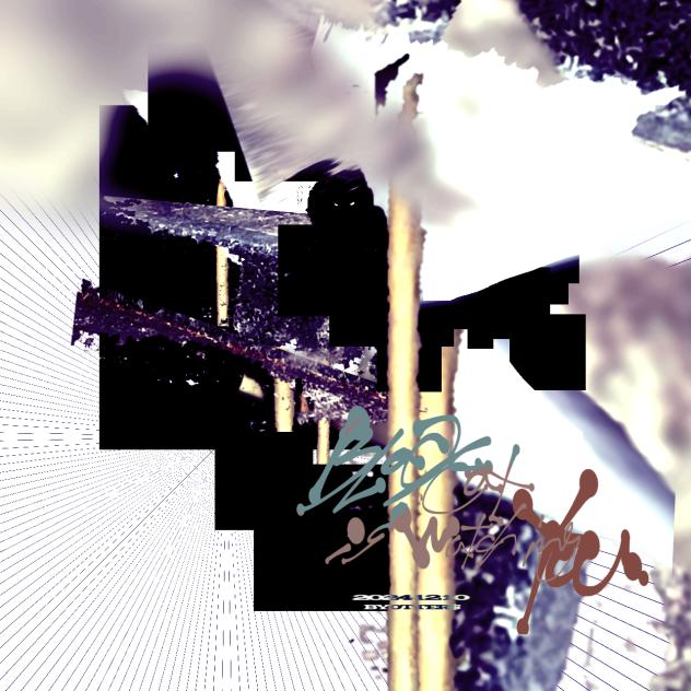 Black cat is watching YOU.