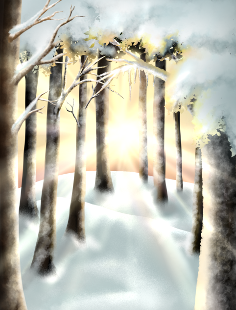 forest winter