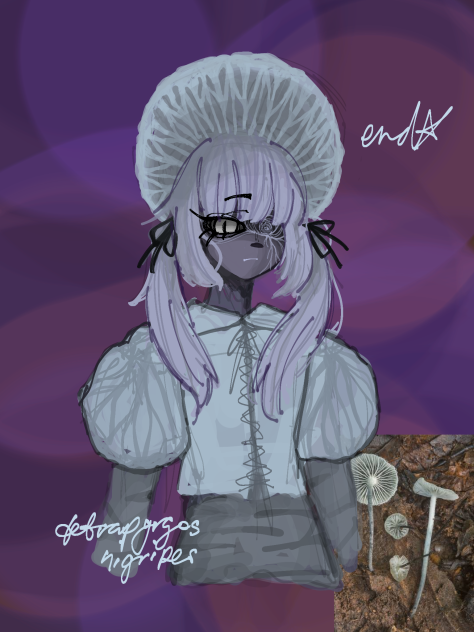 funguary; tetrapyrgos