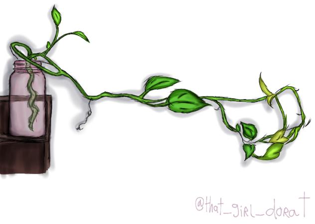 🌱