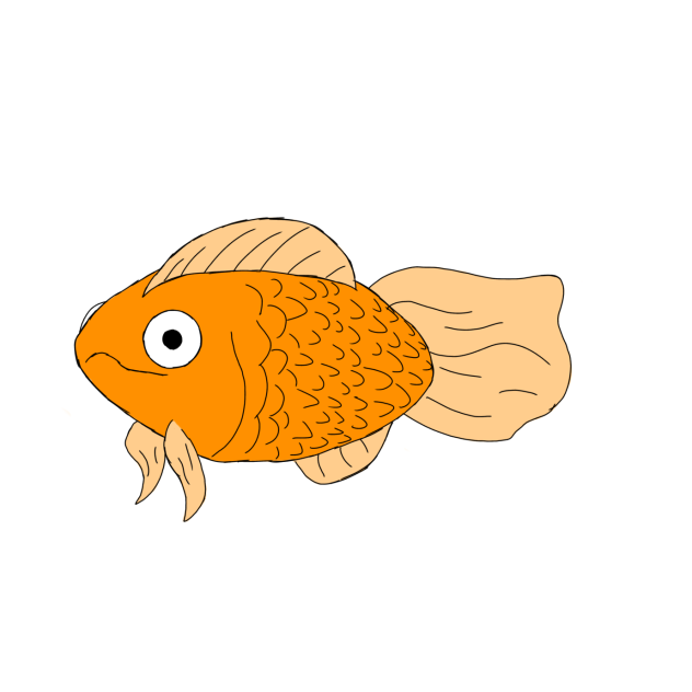 Derp Fish