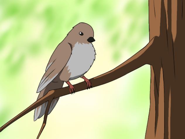 Freed from cage🕊️