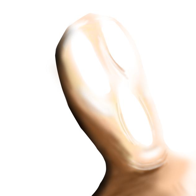 TRAINING FOR ERADICATION 1