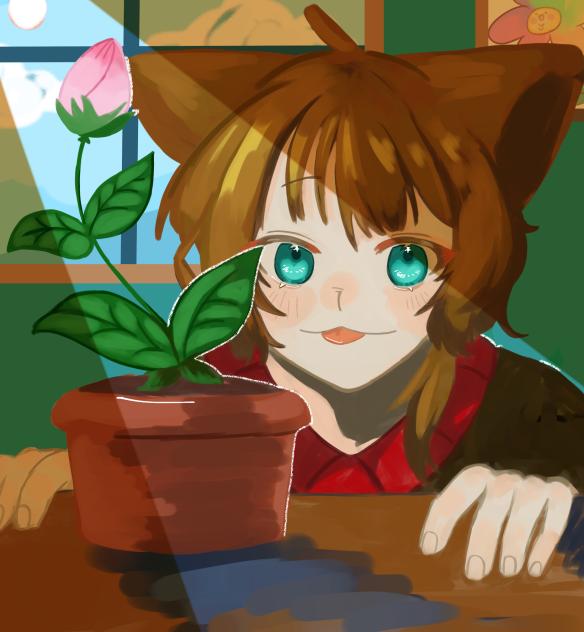 植物の成長