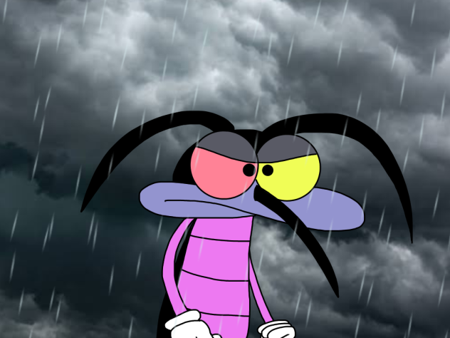 Joey in the Rain