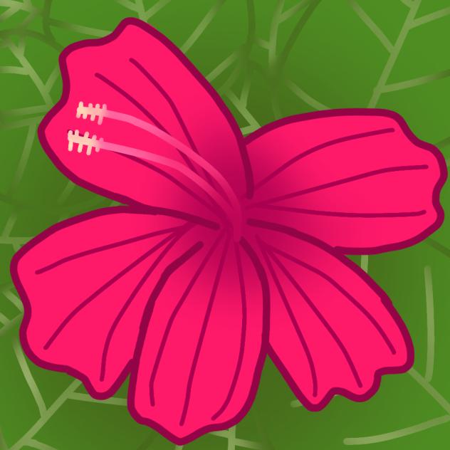 Hibiscus flower doodle