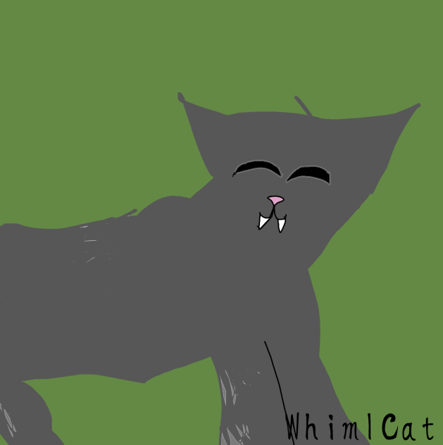 I draw without undo ibisPaint