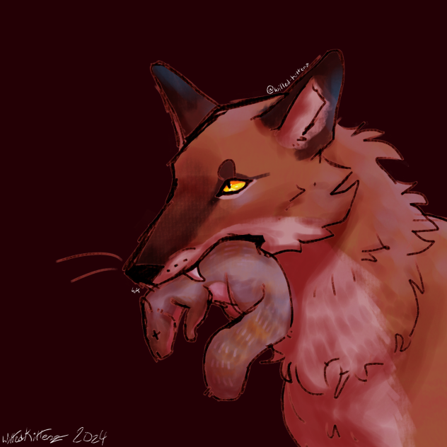 🐿️🦊