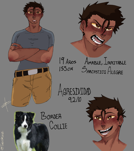 Border Collie