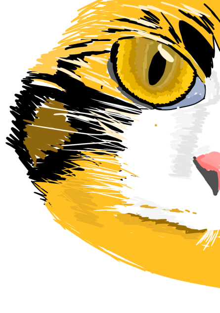 A Cat's Eye
