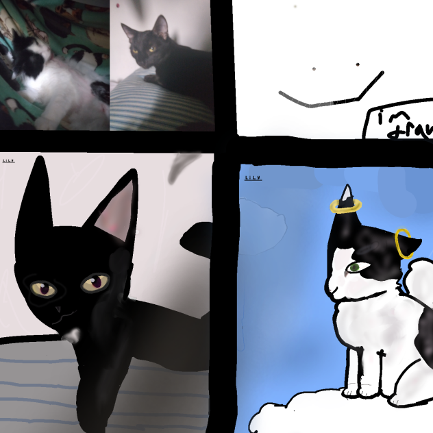 art