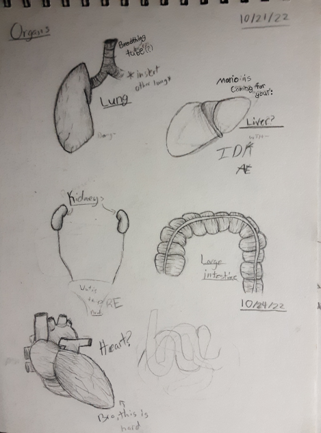 Doobles 4 - Organs ✨