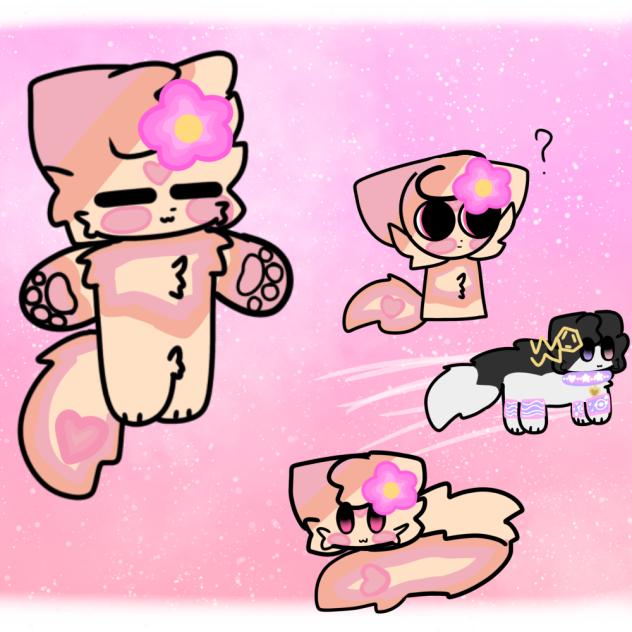 WTPT- My maths teacher as a cat