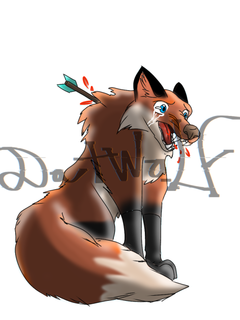 fox - ibisPaint