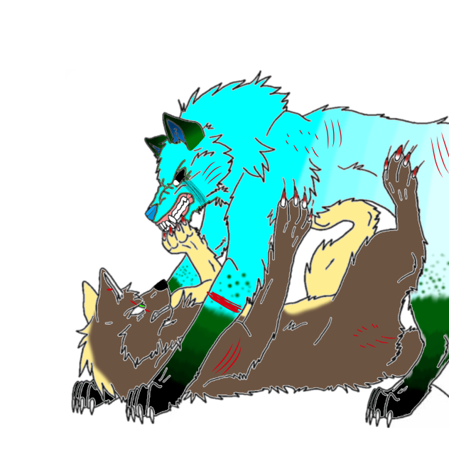 i think its a wolf fight