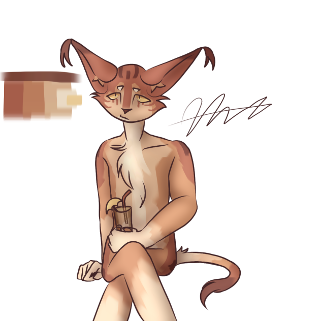 redrew more