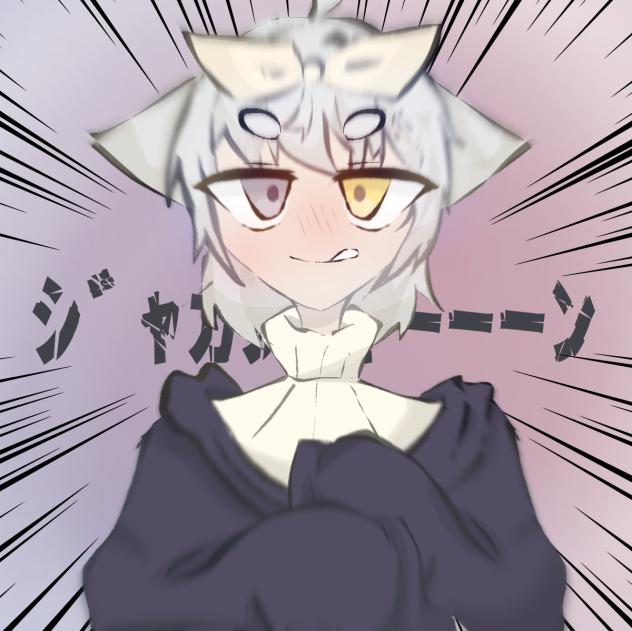 ｼﾞｬｶｼﾞｬｰｰｰﾝ