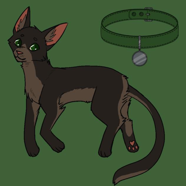 Earth - Cat OC.