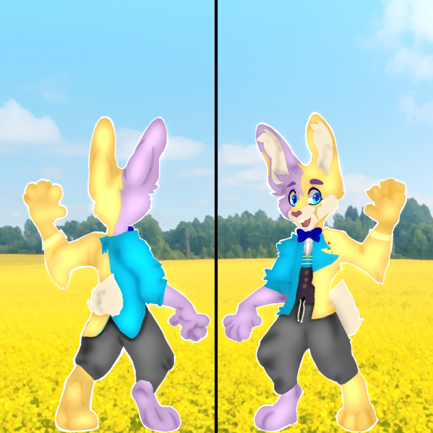 Sunshine front & back