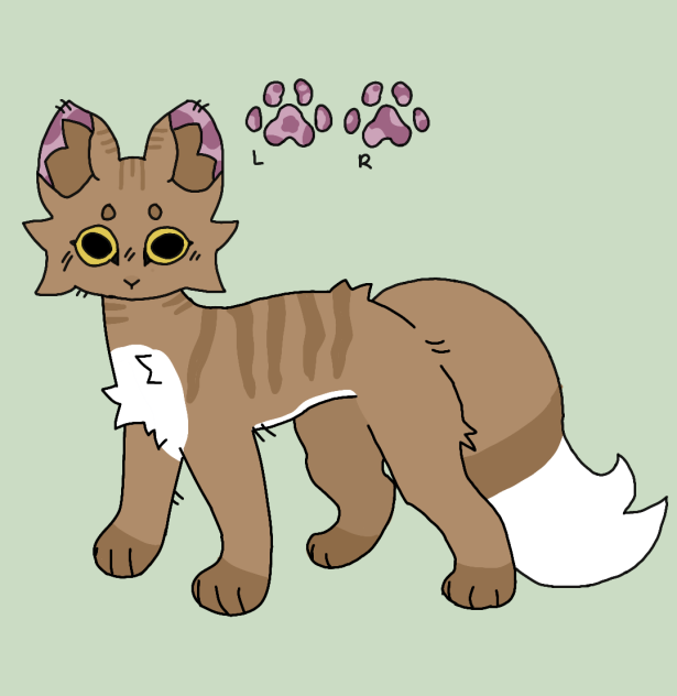 Kitty