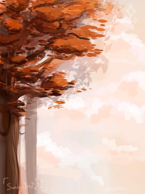 dawn