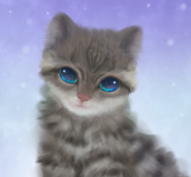 Kitty