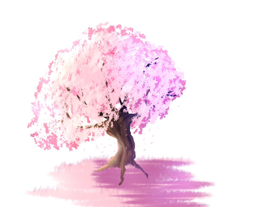 Sakura tree - ibisPaint