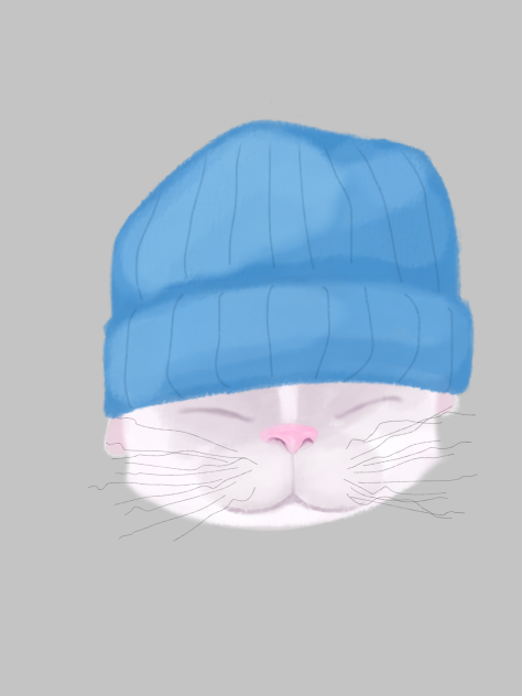 beanie cat