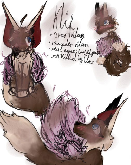 Klif (Cursedpaw) ref sheet