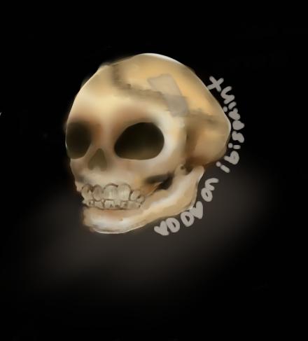 skull.