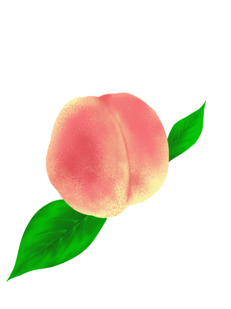 素材 桃
