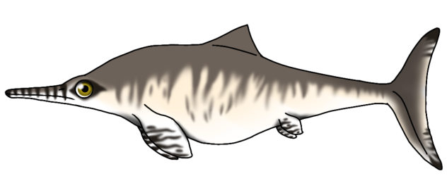 Ophthalmosaurus icenicus reneer