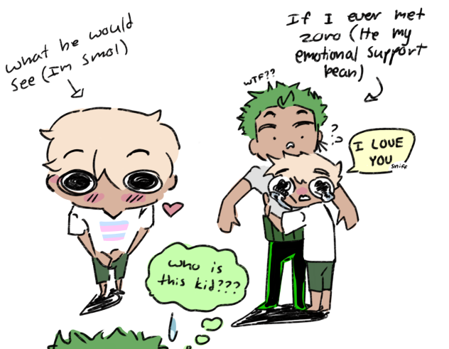 Emotional support zoro