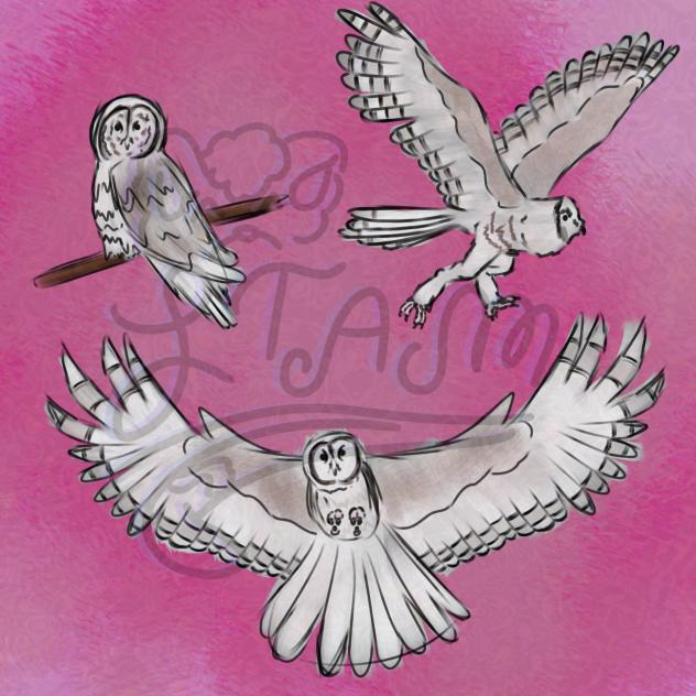 Great gray owl