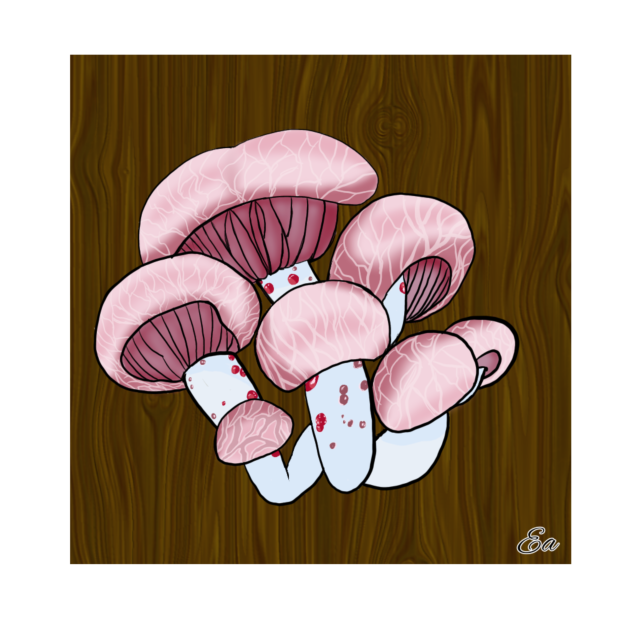 Pink mushroom drawing