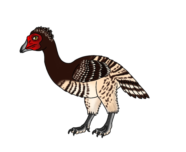 Patagopteryx