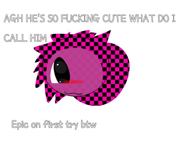 WHAT DO I NAME HIMM 'evaporates'