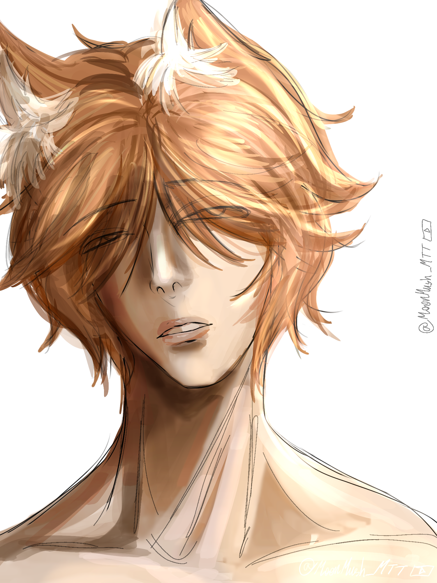 Fox boi - ibisPaint