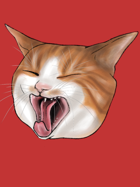 猫の欠伸