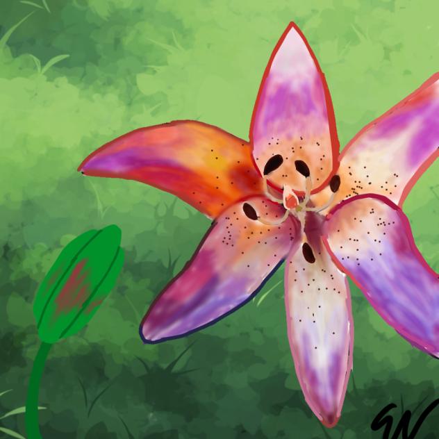 flower - ibisPaint