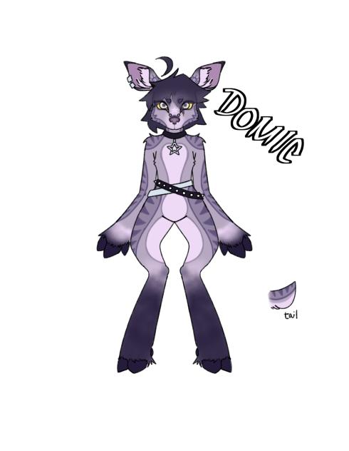 Domic - design commission sorta