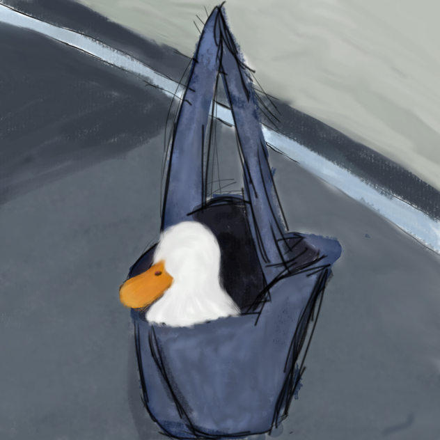Duck in a bag